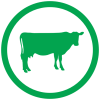 cattle_icon.png